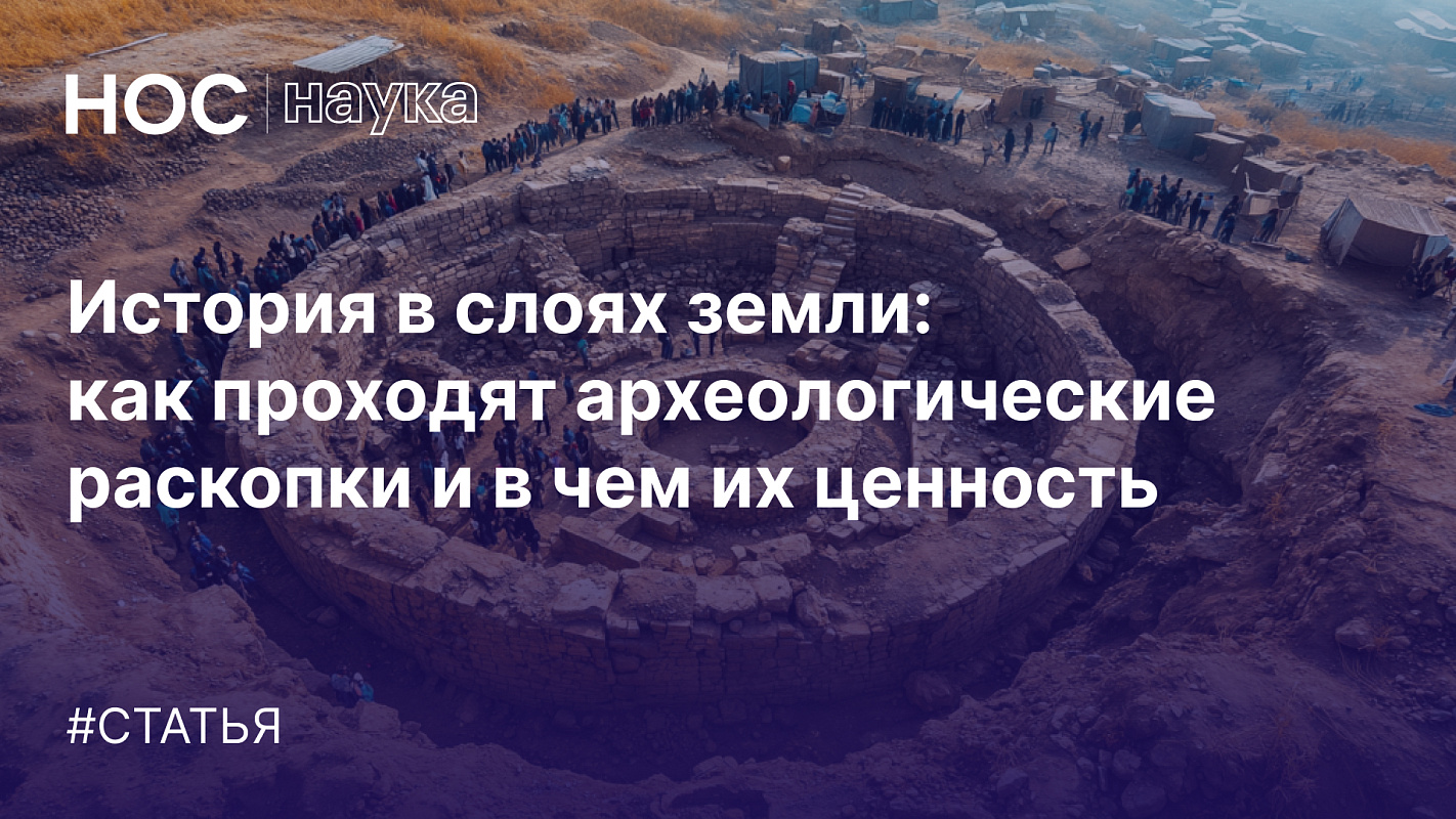 Описание изображения